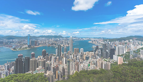 業務實體成立服務